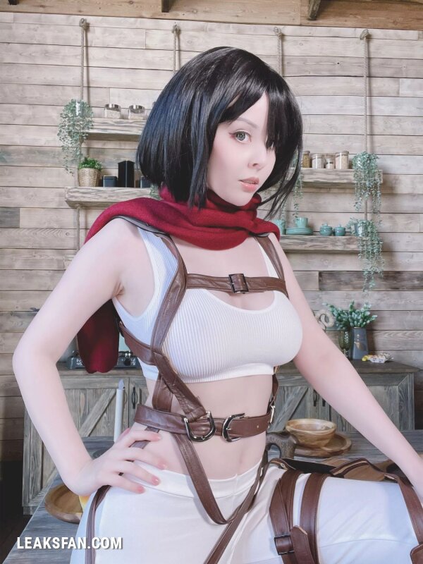 Helly Valentine - Mikasa Ackerman (Shingeki No Kyojin) - 2