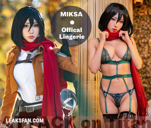 Hane Ame - Mikasa (Shingeki No Kyojin) - 1