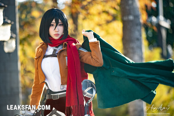 Hane Ame - Mikasa (Shingeki No Kyojin) - 2