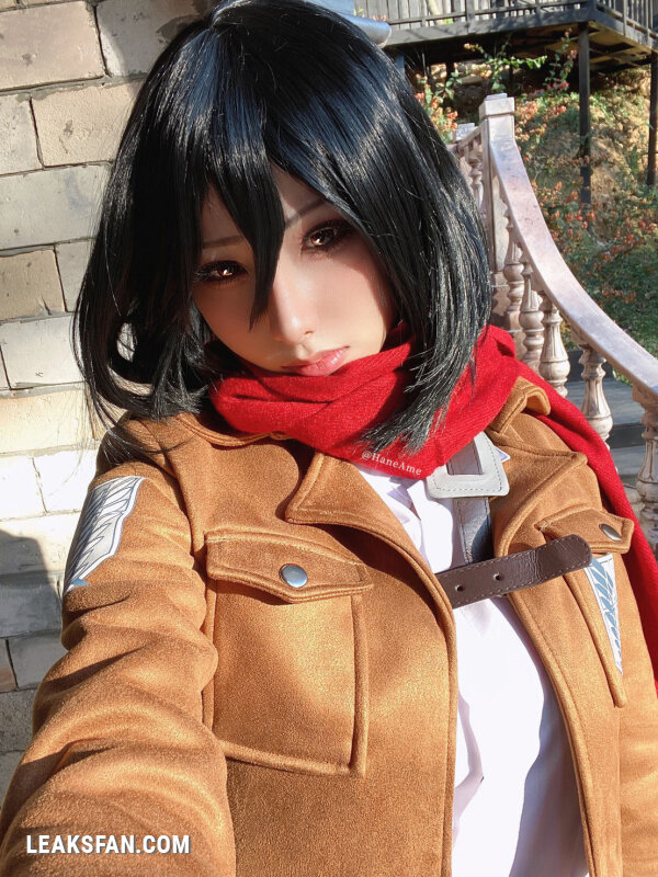 Hane Ame - Mikasa (Shingeki No Kyojin) - 2