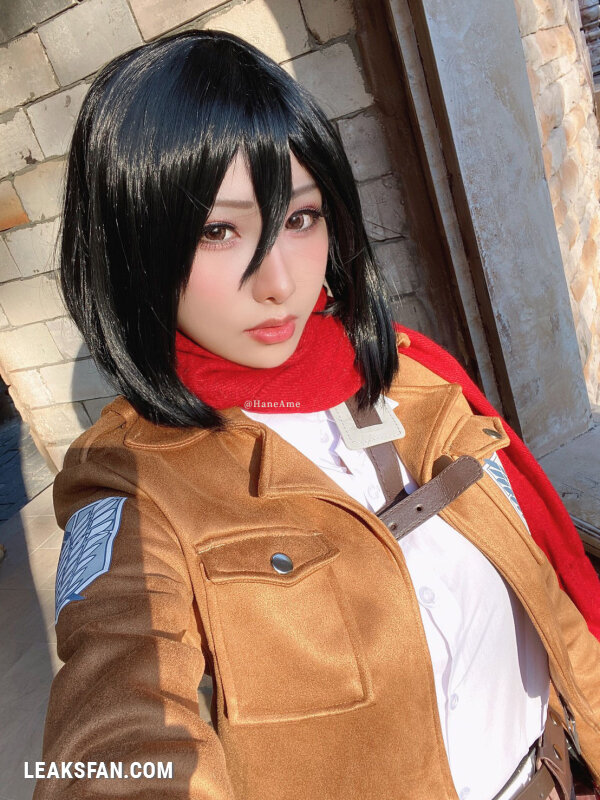 Hane Ame - Mikasa (Shingeki No Kyojin) - 46